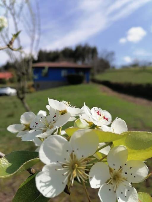 Vila La Casa Azul De Lua Un Lugar Magico Juncedo Exteriér fotografie