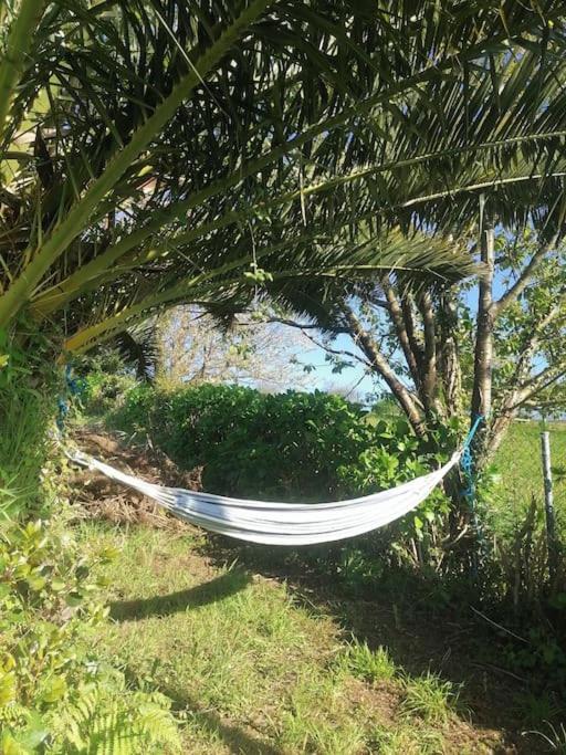 Vila La Casa Azul De Lua Un Lugar Magico Juncedo Exteriér fotografie