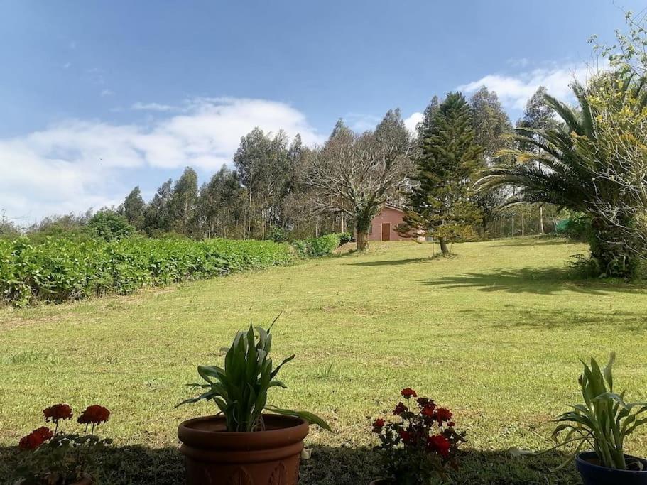 Vila La Casa Azul De Lua Un Lugar Magico Juncedo Exteriér fotografie