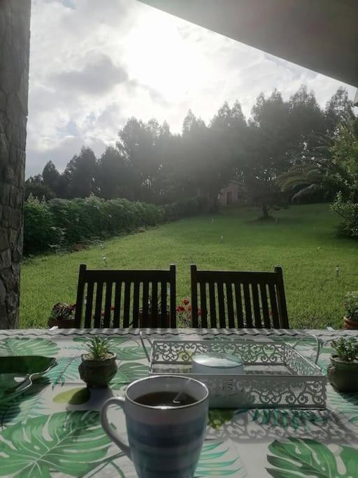 Vila La Casa Azul De Lua Un Lugar Magico Juncedo Exteriér fotografie