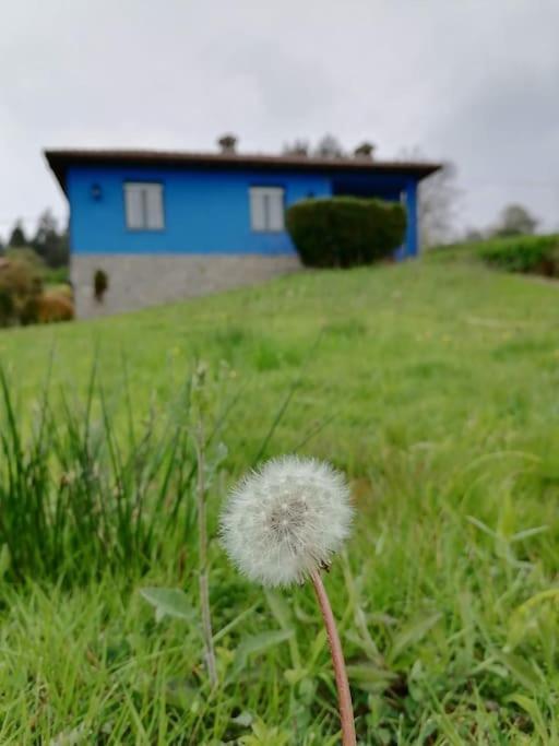 Vila La Casa Azul De Lua Un Lugar Magico Juncedo Exteriér fotografie